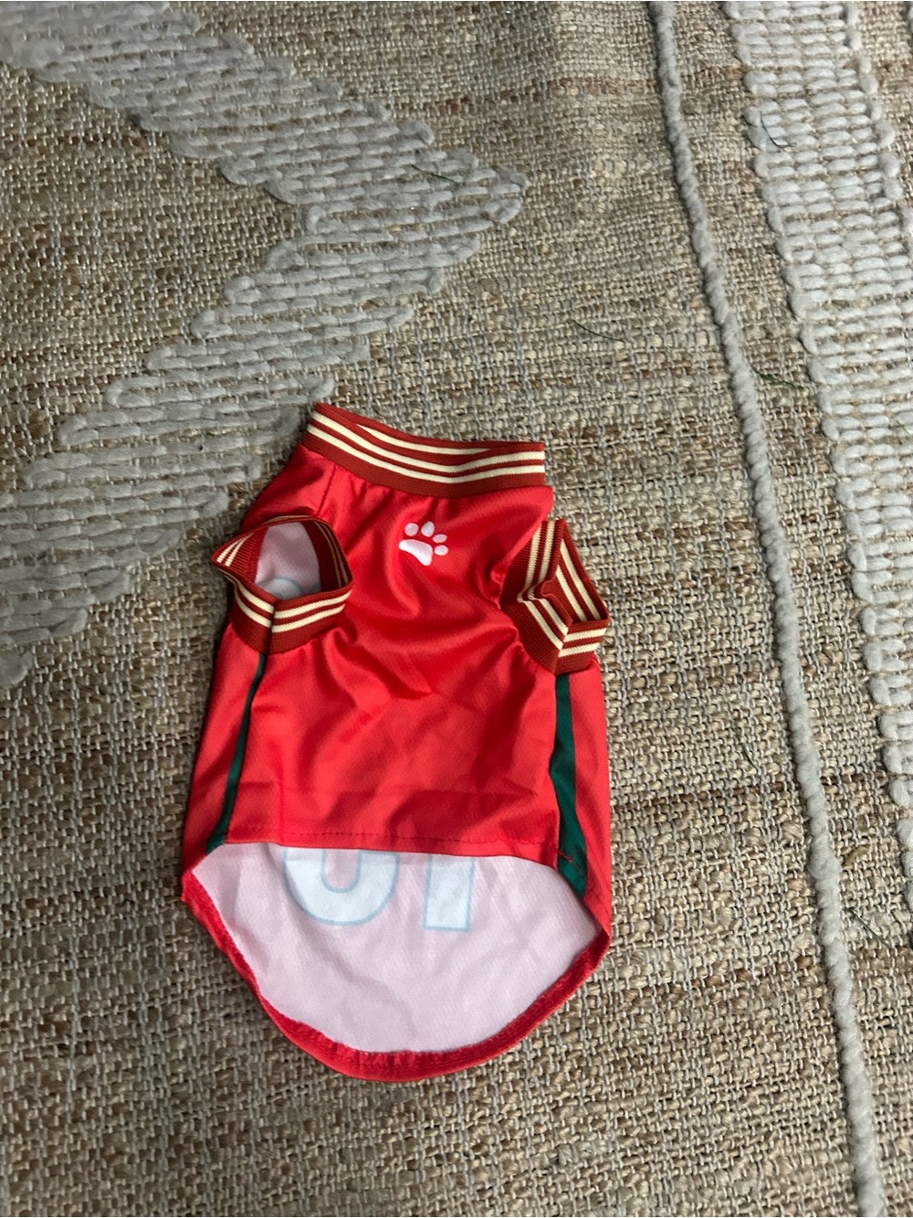 Kids Red Paw-Print Swim Top